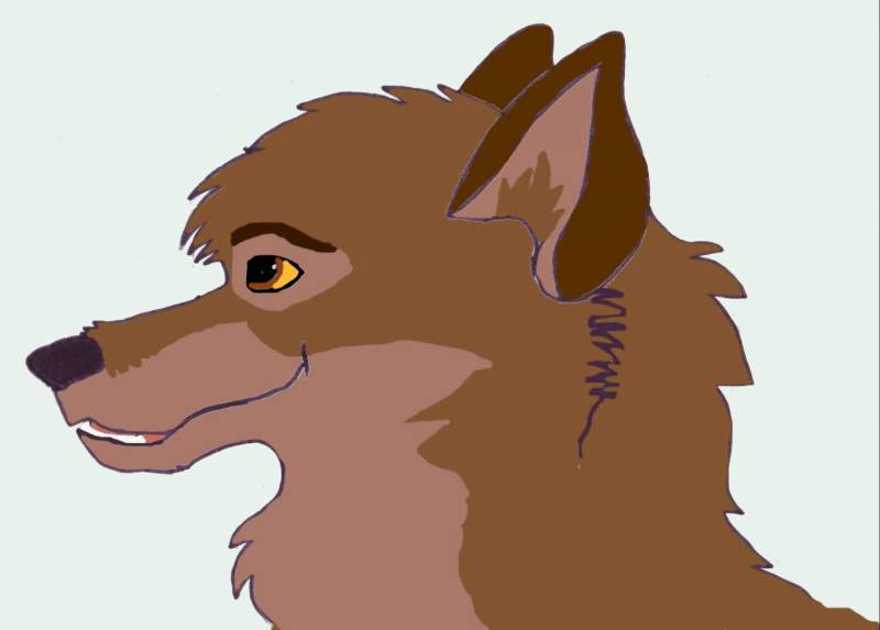 Balto the Hero