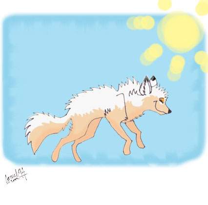 Summer!