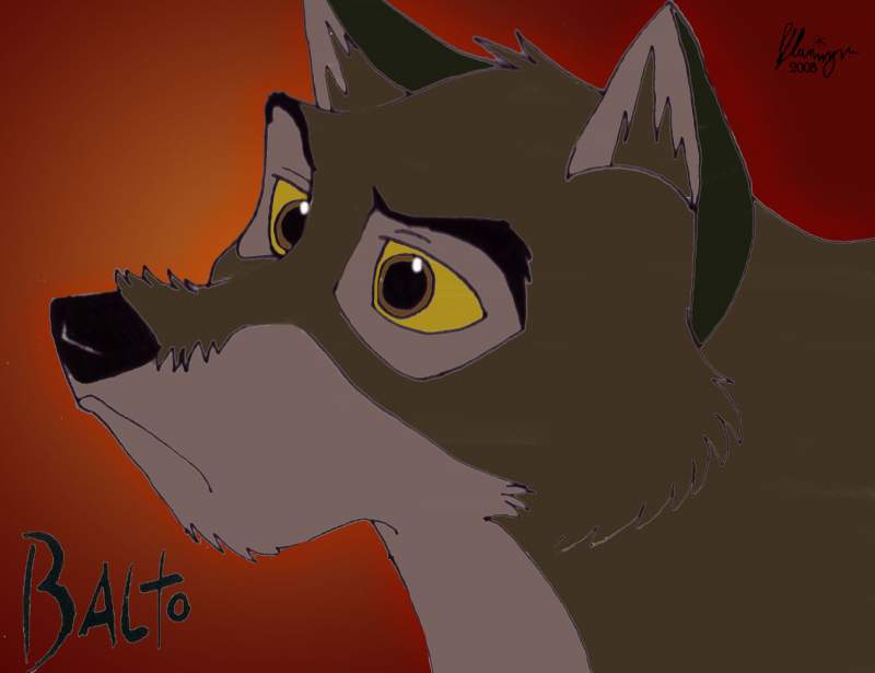 Balto the wolf dog