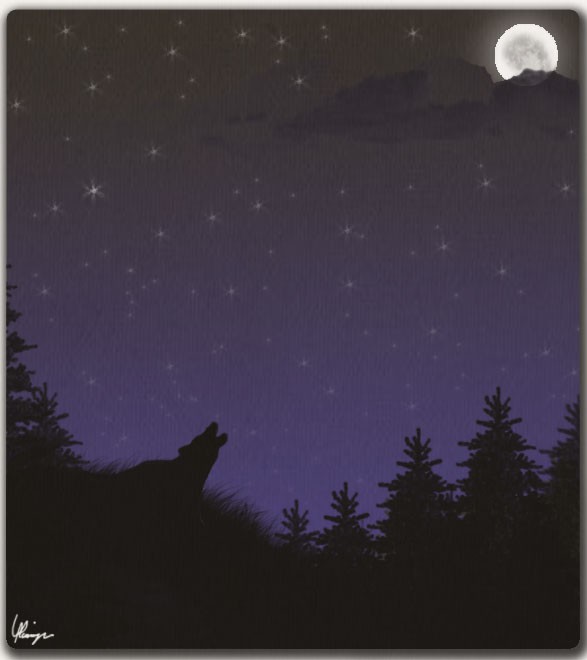 Night Call
