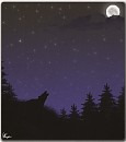 Night Call