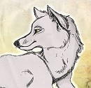 Sketchy wolfff