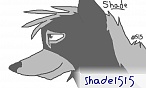 shade1515