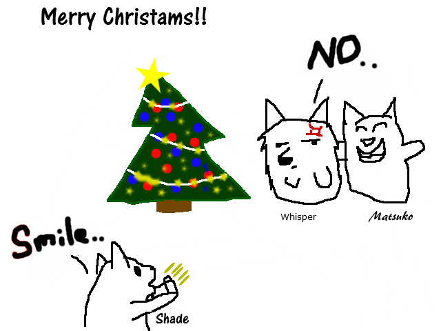 Merry Christmas!!!