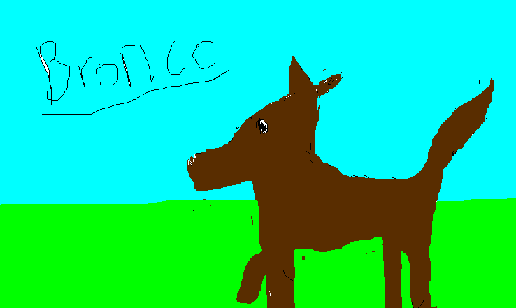 Bronco