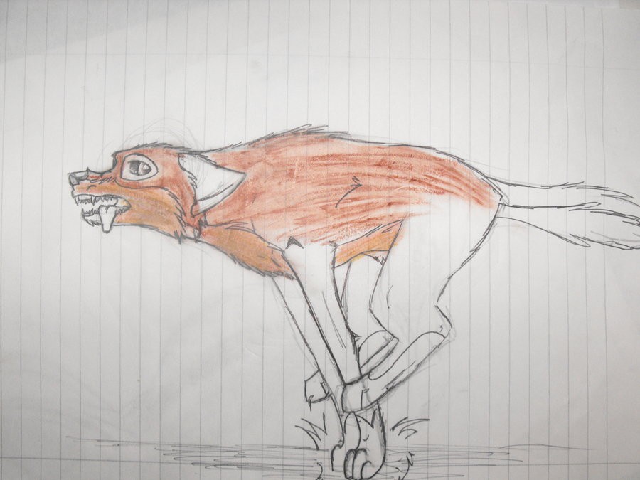 Balto!