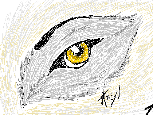 Eye of the wolf (More tablet practice).