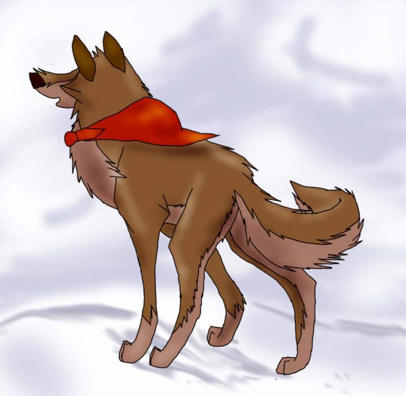 balto in the fog