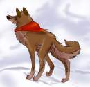 balto in the fog