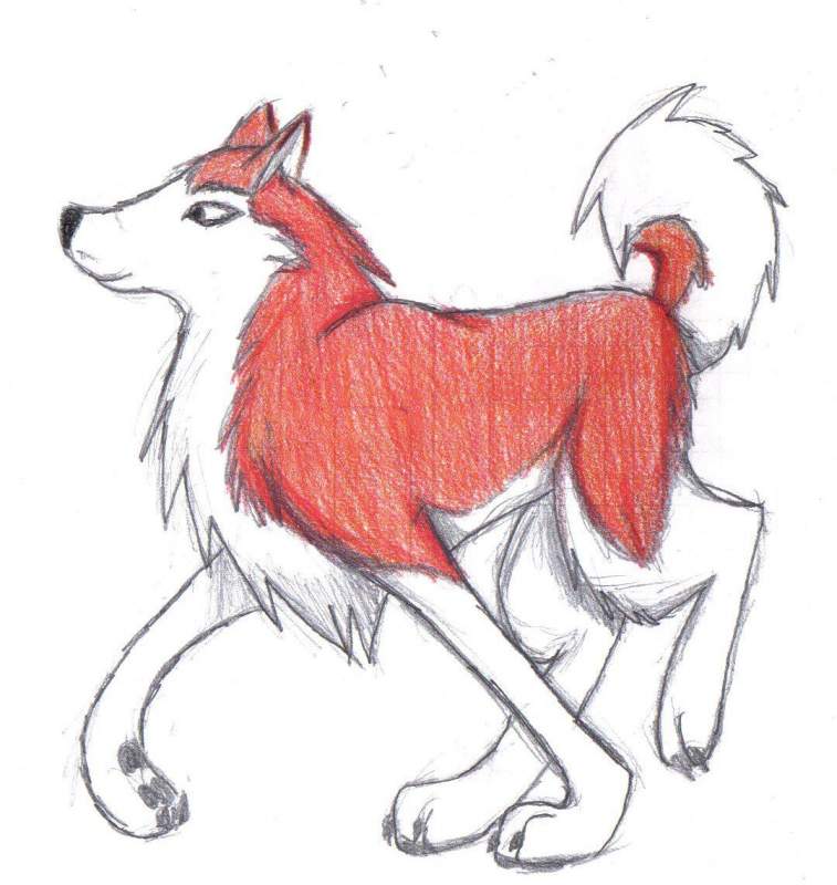 Kodi