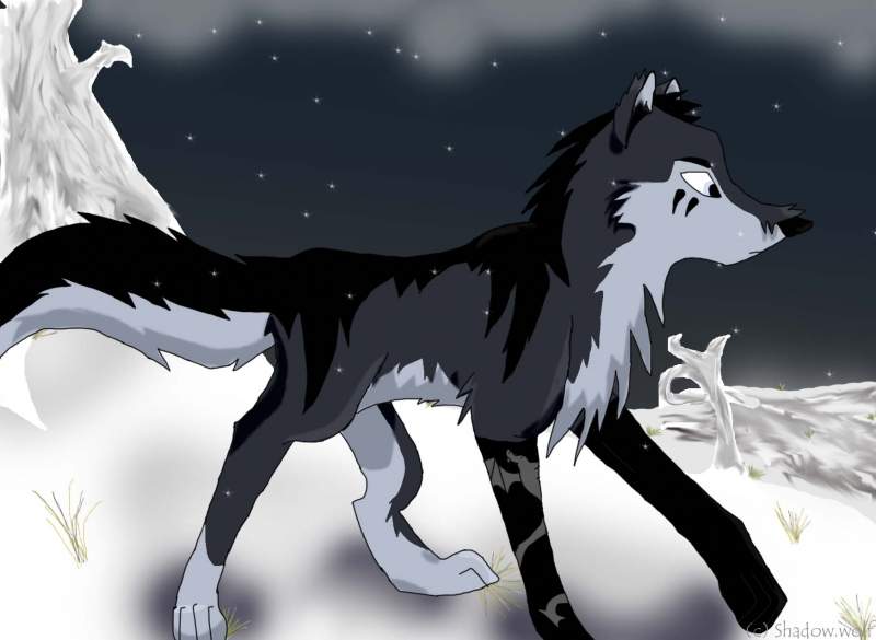 in the snow