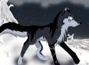 in the snow