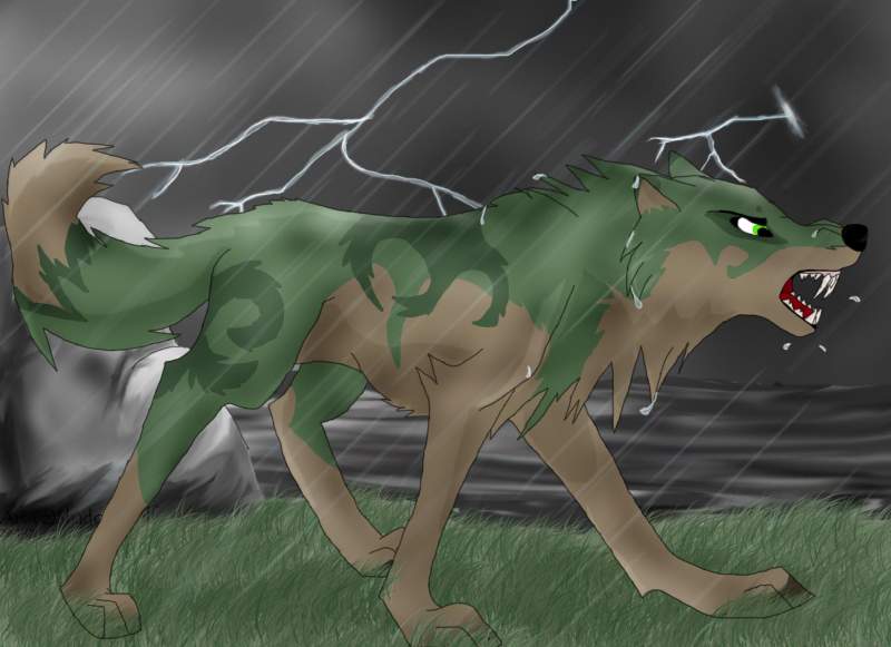 Storm fight