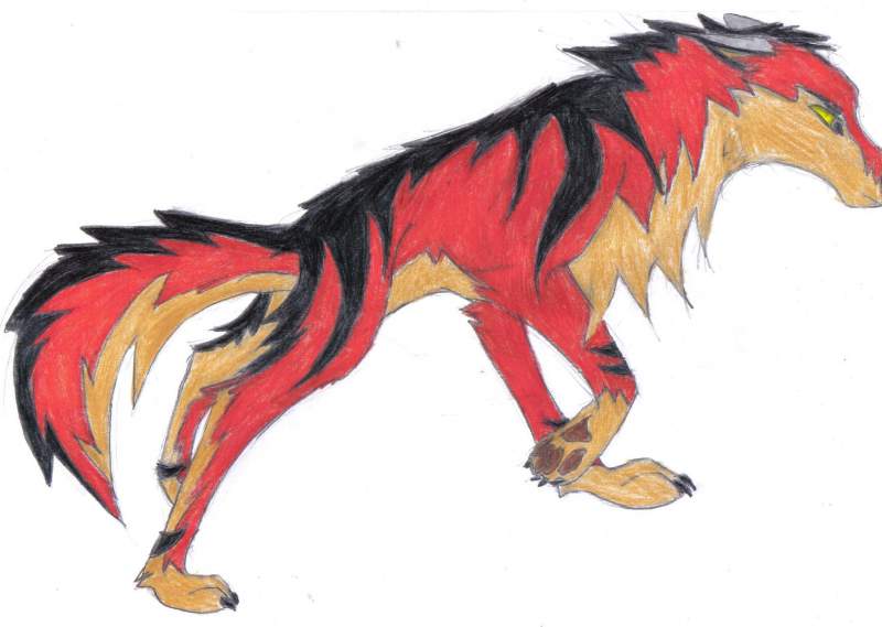 Draco