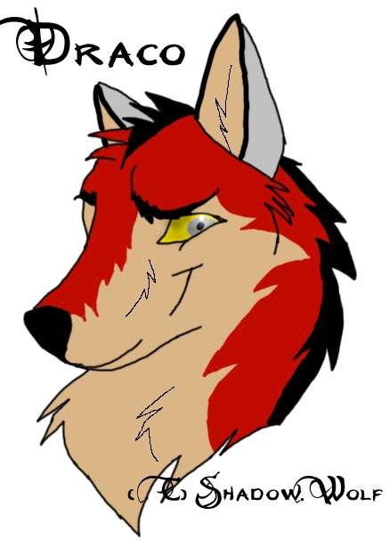 Draco portrait