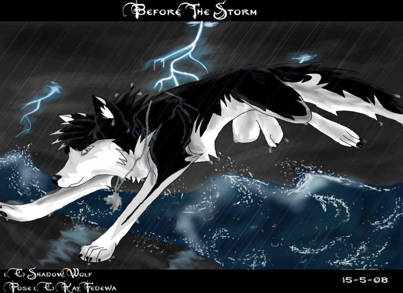 Before the storm 