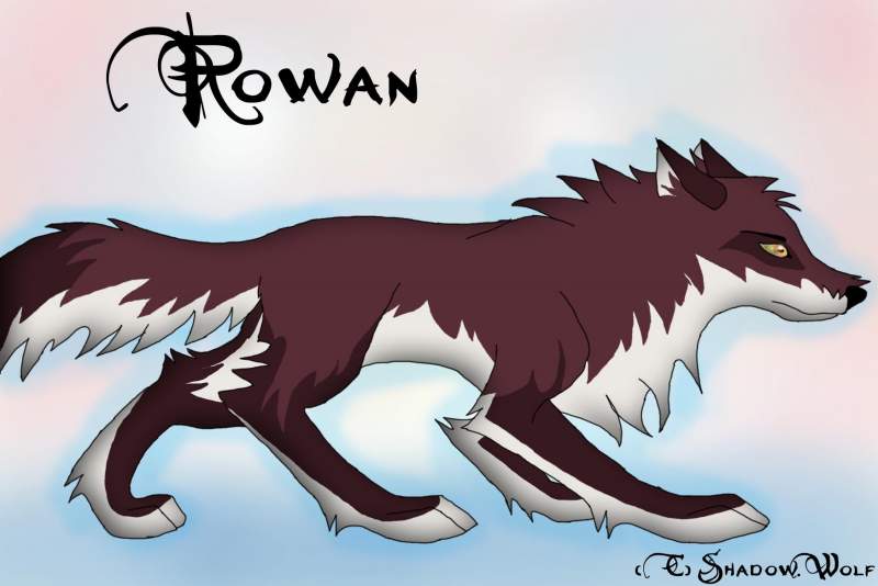 Rowan