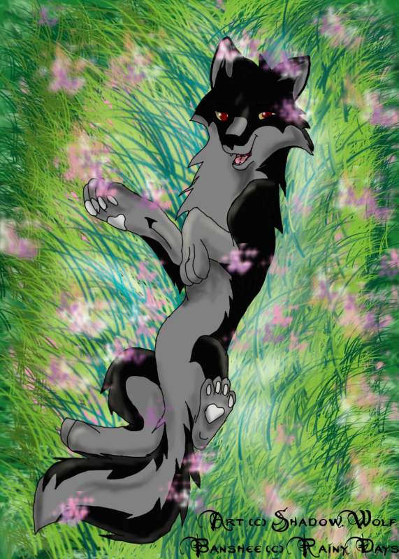 art trade with Rainy days
