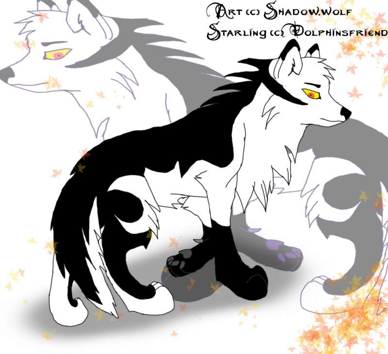 art trade with Dolphinsfriend