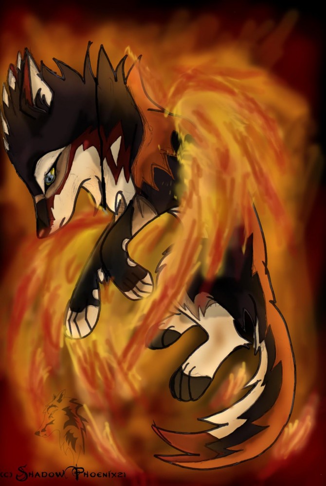 Rise of the Phoenix