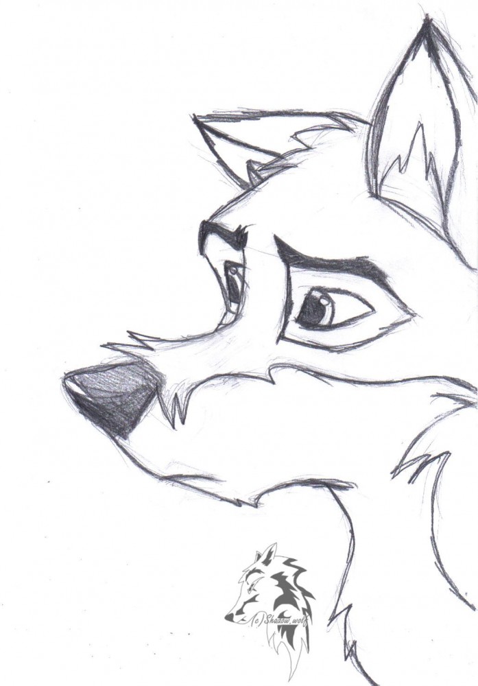 Balto sketch