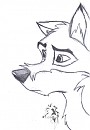 Balto sketch