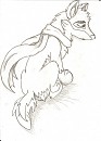 Balto sketch 