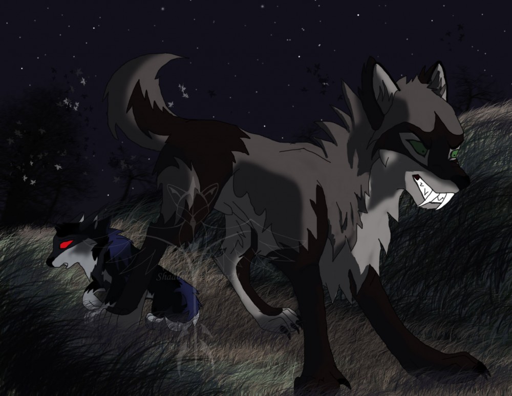 The protector