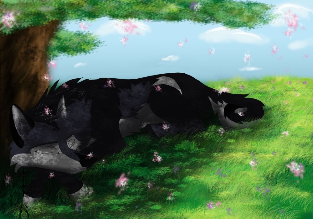Young Shadow
