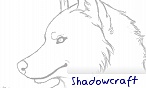Shadowcraft