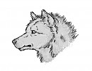 Quick Doodle