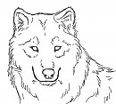Quick Doodle 2