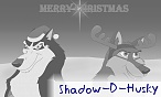 Shadow-D-Husky