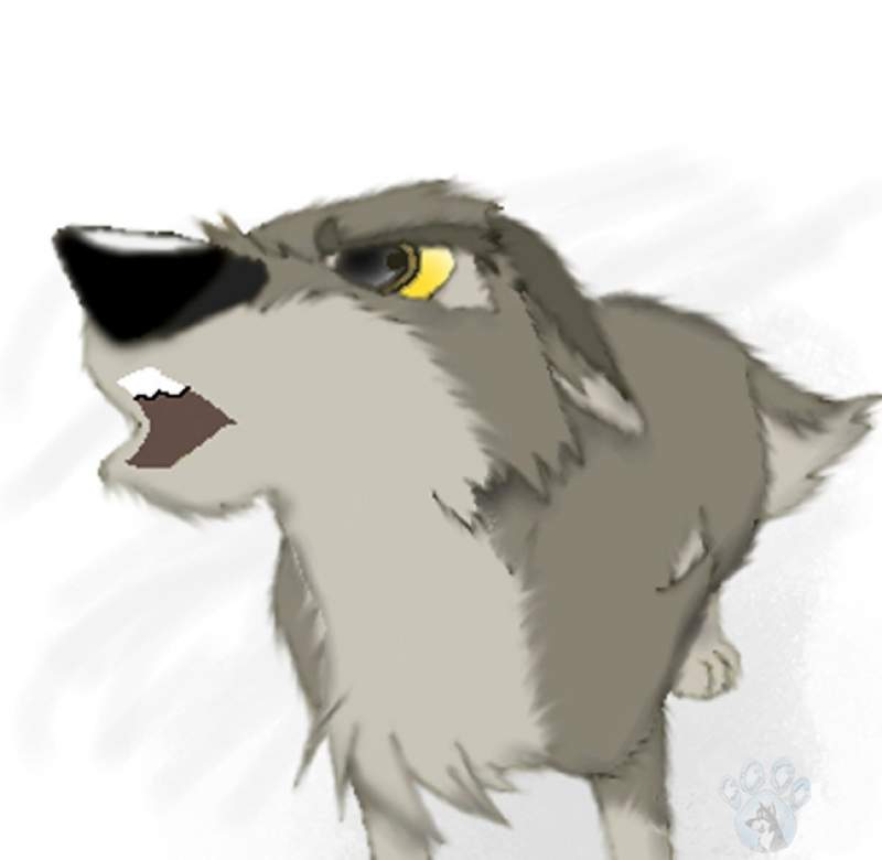 Balto Howls