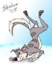 Star fall down