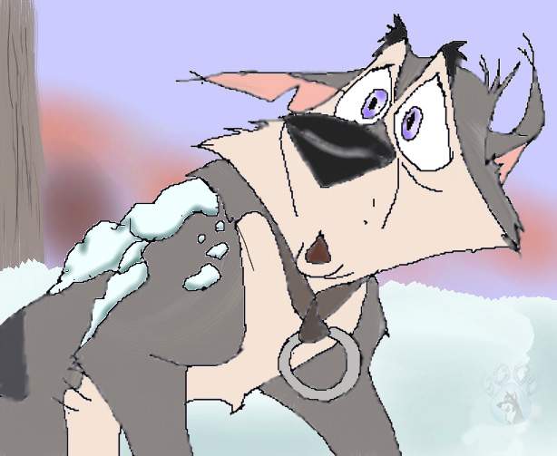 Star after the sled crash
