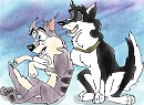 Shadow Hugs Star