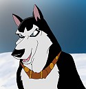 One Bad Dog