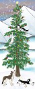 Oh Christmas Tree