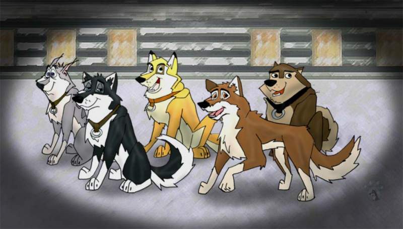 The Team