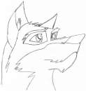 Balto sketch.
