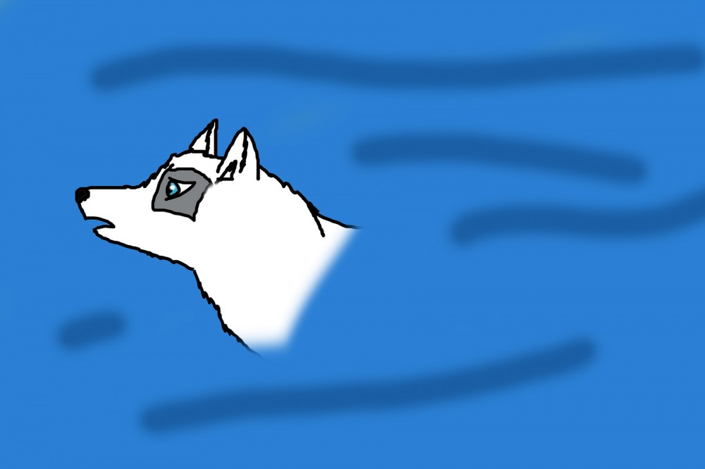 Random dog swimming