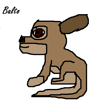 Balto pup