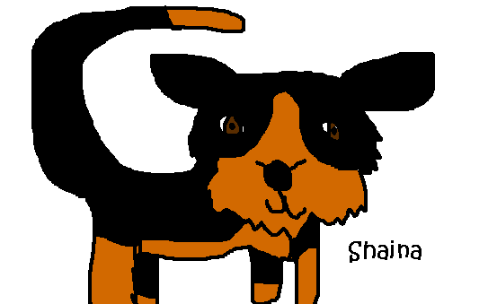 Shainaaaaa