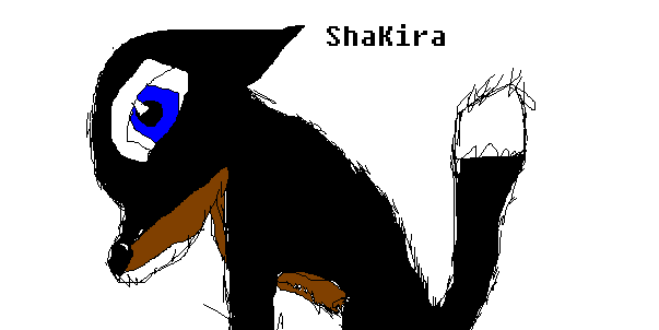 Shaakira Shakiraa >>