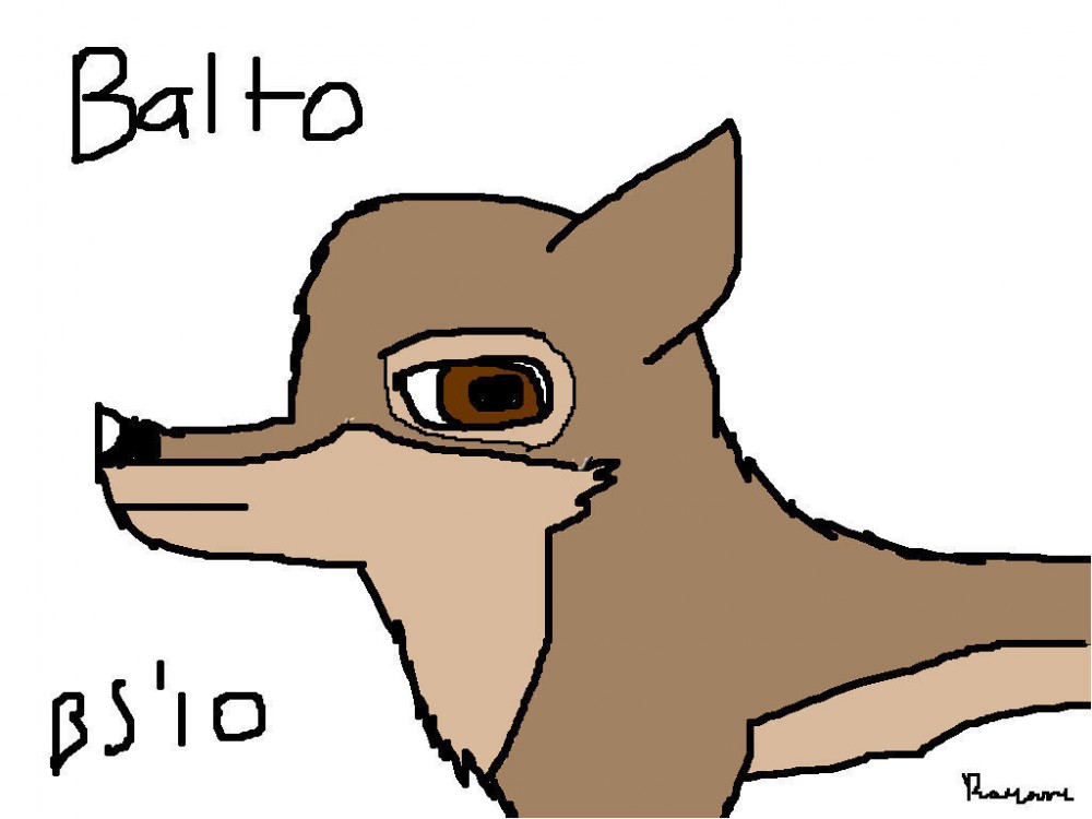 Balto o3o