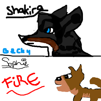 Like Zomg xat drawing!