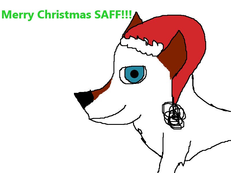 MERRY CHRISTMAS :D