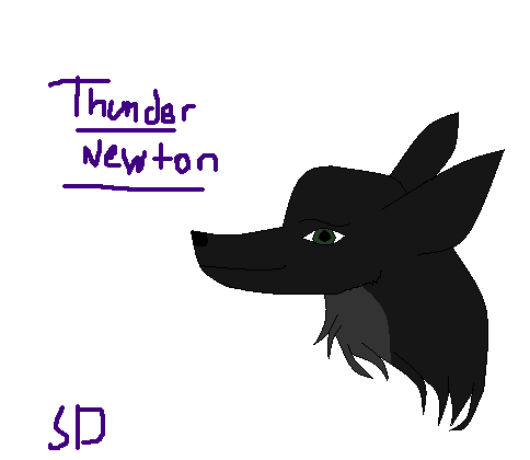 Thunderrr~