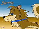 Sierra~ 
